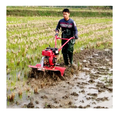 Ancho de trabajo de 45-85 cm Motor de gasolina Mini cultivador Tiller giratorio para una operación fácil