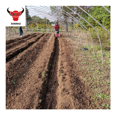 Venta de cultivador de huertos multipropósito Mini Tiller con transmisión de engranajes