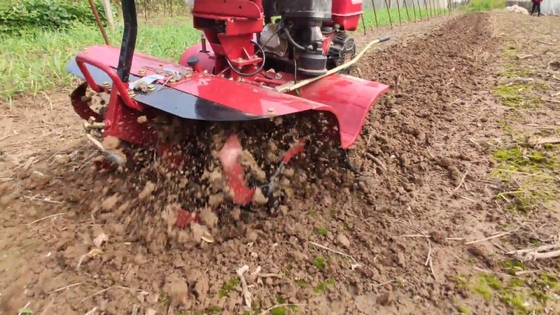 Máquina de tiling de 65 kg último modelo para el cultivo de tierra pequeña a 4 km / h velocidad de trabajo