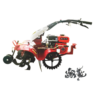 Cuerpo estrecho de limpieza Ginger Power Tiller de limpieza Ancho de más de 10 cm 65 KG Peso