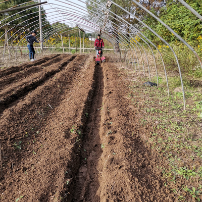 Cultivador de gasolina profesional para un ancho de trabajo de 70 cm y una velocidad de trabajo de 4 km/h