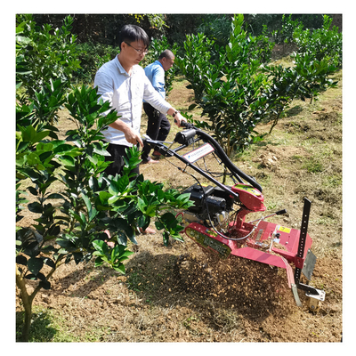 Maximice su potencial de gestión con el cultivador de huertos y 70 cm de ancho de trabajo