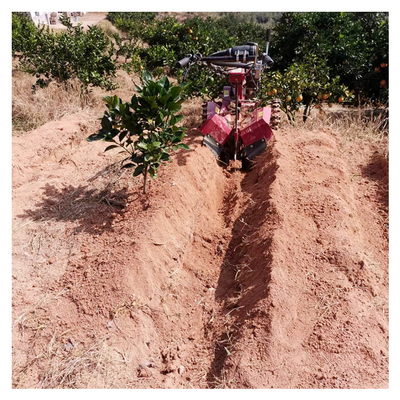 Tiller de micro-potencia de gasolina de huerto para la excavación de más de 10 cm de ancho 145 * 62 * 85 cm de tamaño