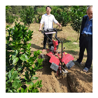 Máquina de limpieza para jardín