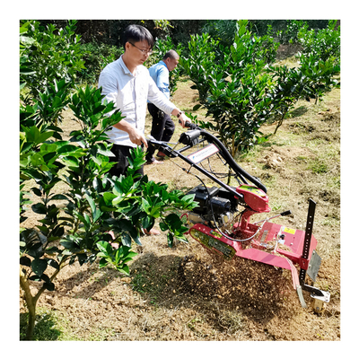 Máquina de limpieza para jardín