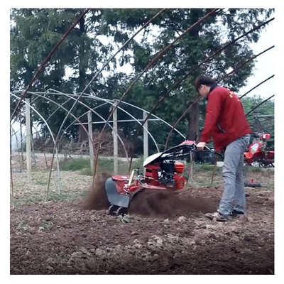 Mini Power Tiller Gear Cultivator económico 10-40cm ancho de tiling y el desprendimiento de gasolina