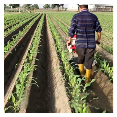 Máquina de cultivo de diésel de 150 kg de capacidad para proyectos de paisajismo doméstico
