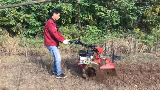 Máquina de deshierba manual con motor de gasolina de 7 CV para aplicaciones de desherbación de 70 cm de ancho