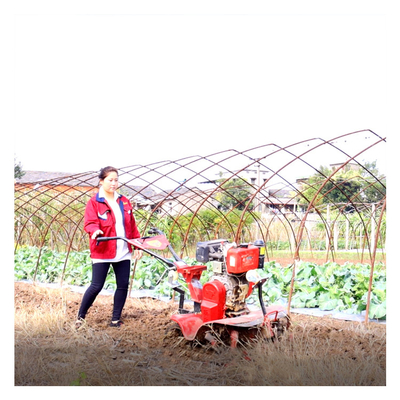 Equipo profesional de maquinaria agrícola 4KW Mini Tiller para la agricultura