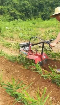 4KM/H Velocidad de trabajo Motor de gasolina Mini Power Tiller Power Weeder Rotavator Cultivator