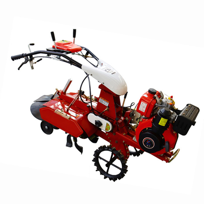 7HP/9HP Mini Tiller para el cultivo de cultivos de cultivos de cultivo de cultivos de cultivos de cultivos de cultivos de cultivos de cultivos de cultivos de cultivos de cultivos de cultivos de cultivos de cultivos de cultivos de cultivos de cultivos de cultivos de cultivos de cultivos de cultivos de cultivos de cultivos de cultivos de cultivos de cultivos de cultivos de cultivos de cultivos de cultivos de cultivos de cultivos de cultivos de cultivos de cultivos de cultivos de cultivos de cultiv