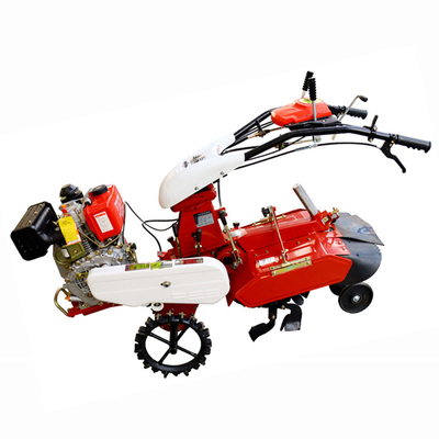 7HP/9HP Mini Tiller para el cultivo de cultivos de cultivos de cultivo de cultivos de cultivos de cultivos de cultivos de cultivos de cultivos de cultivos de cultivos de cultivos de cultivos de cultivos de cultivos de cultivos de cultivos de cultivos de cultivos de cultivos de cultivos de cultivos de cultivos de cultivos de cultivos de cultivos de cultivos de cultivos de cultivos de cultivos de cultivos de cultivos de cultivos de cultivos de cultivos de cultivos de cultivos de cultivos de cultiv