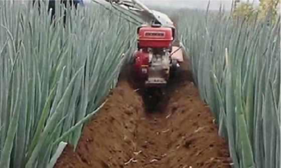 7HP/9HP Mini Tiller para el cultivo de cultivos de cultivos de cultivo de cultivos de cultivos de cultivos de cultivos de cultivos de cultivos de cultivos de cultivos de cultivos de cultivos de cultivos de cultivos de cultivos de cultivos de cultivos de cultivos de cultivos de cultivos de cultivos de cultivos de cultivos de cultivos de cultivos de cultivos de cultivos de cultivos de cultivos de cultivos de cultivos de cultivos de cultivos de cultivos de cultivos de cultivos de cultivos de cultiv