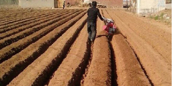 7HP/9HP Mini Tiller para el cultivo de cultivos de cultivos de cultivo de cultivos de cultivos de cultivos de cultivos de cultivos de cultivos de cultivos de cultivos de cultivos de cultivos de cultivos de cultivos de cultivos de cultivos de cultivos de cultivos de cultivos de cultivos de cultivos de cultivos de cultivos de cultivos de cultivos de cultivos de cultivos de cultivos de cultivos de cultivos de cultivos de cultivos de cultivos de cultivos de cultivos de cultivos de cultivos de cultiv