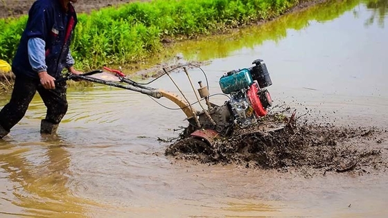 4 kW Máquina de agricultura multifunción de alto nivel de seguridad Motor de gasolina 4WD 170f