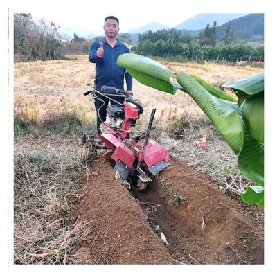 Gestión de la estructura de engranajes Mini Power Tiller con ancho de trabajo de 70 cm y motor de gasolina