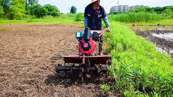Equipo agrícola multipropósito con tracción a las cuatro ruedas 173F cultivador de motor diesel para jardín