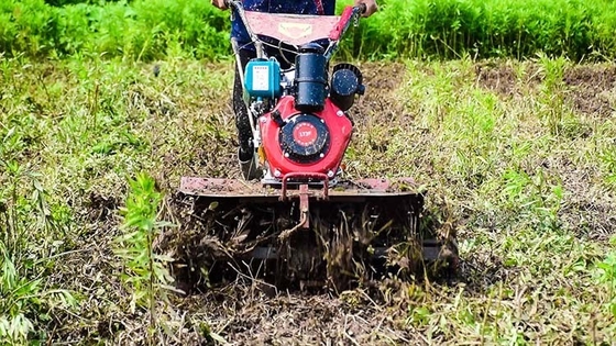 Equipo agrícola multipropósito con tracción a las cuatro ruedas 173F cultivador de motor diesel para jardín