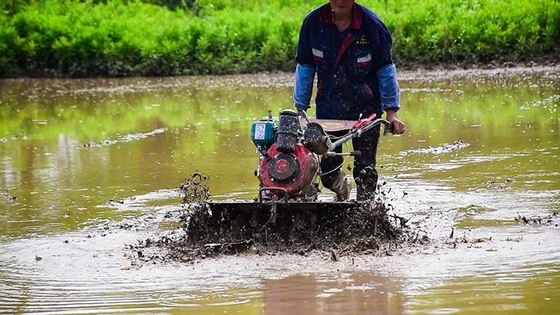 Equipo agrícola multipropósito con tracción a las cuatro ruedas 173F cultivador de motor diesel para jardín