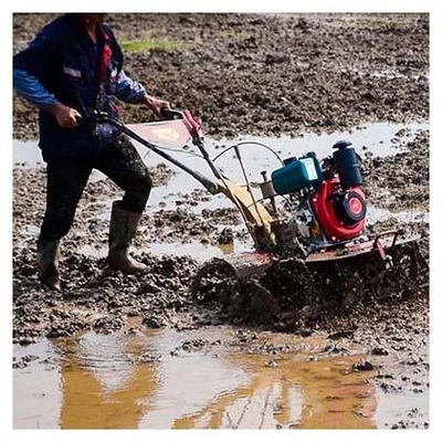 Obtenga más en menos tiempo con nuestro Tiller rotativo 170F/173F 4WD Mini Power Tiller