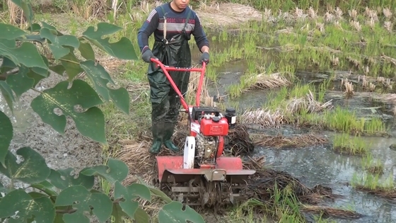 4 kW Corto modelo 173f Motor diesel Tiller de potencia para la agricultura sostenible