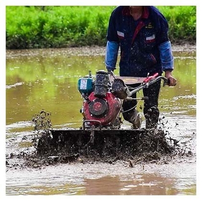 Obtenga más en menos tiempo con nuestro Tiller rotativo 170F/173F 4WD Mini Power Tiller