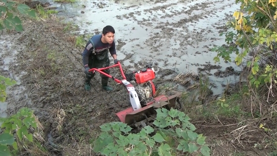 4 kW Corto modelo 173f Motor diesel Tiller de potencia para la agricultura sostenible