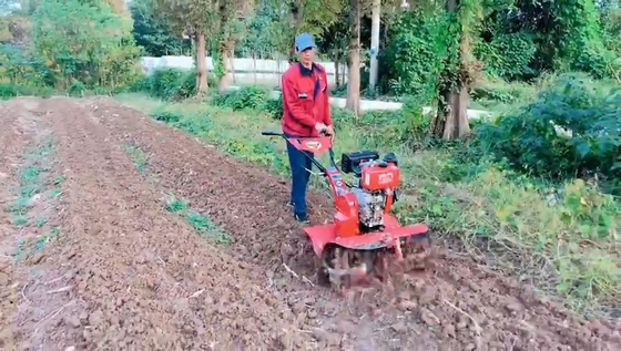 4 kW Corto modelo 173f Motor diesel Tiller de potencia para la agricultura sostenible