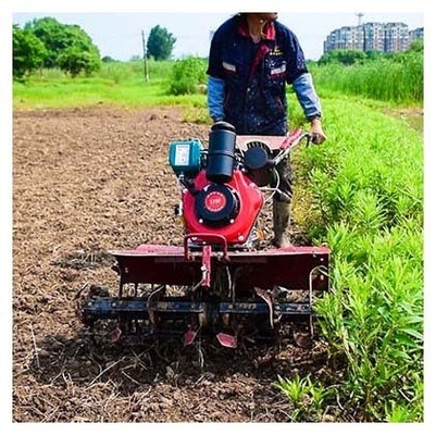 Alto nivel de seguridad 4KW 173F Motor diésel Mini Tiller La mejor opción para tareas de deshierba