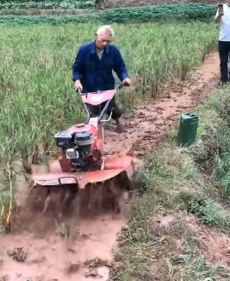 Transmisión de engranajes 8HP motor diésel cultivador de tierra giratoria para la labranza pesada