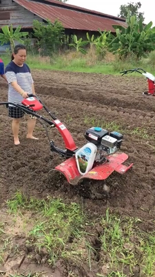 Transmisión de engranajes 8HP motor diésel cultivador de tierra giratoria para la labranza pesada