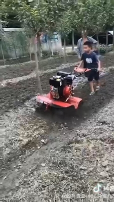 Transmisión de engranajes 8HP motor diésel cultivador de tierra giratoria para la labranza pesada