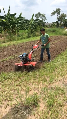 Mini Tiller Gear Structure Cultivator 45-85cm Ancho de trabajo para el cultivo en el suelo