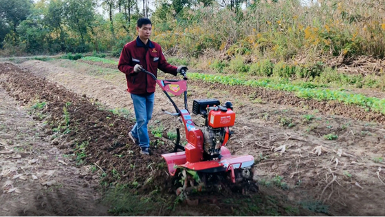 Cultivador rotativo de 155*75*105cm para el cultivo económico y de ahorro de tiempo del arroz