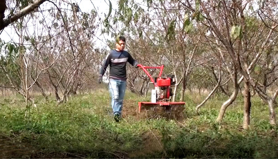 Cultivador rotativo de 155*75*105cm para el cultivo económico y de ahorro de tiempo del arroz