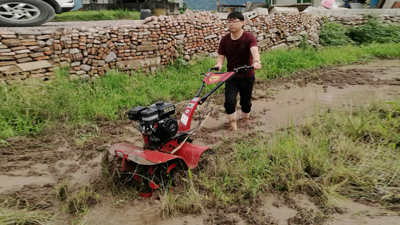 Cultivador rotativo de 155*75*105cm para el cultivo económico y de ahorro de tiempo del arroz