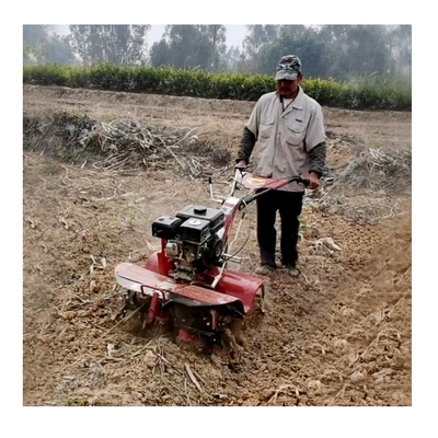 160*62*108cm Cultivador multipropósito diesel Mini Tiller rotativo para la agricultura versátil