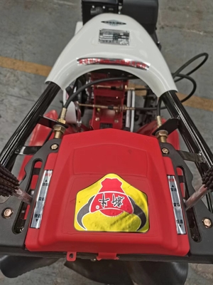 Ahorro de mano de obra 170F Motor de gasolina Máquina de gestión de granjas para cosechas de rendimiento en efectivo
