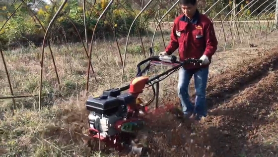 70 cm de ancho de trabajo con tracción a las cuatro ruedas máquina de excavación para huerto con motor de gasolina