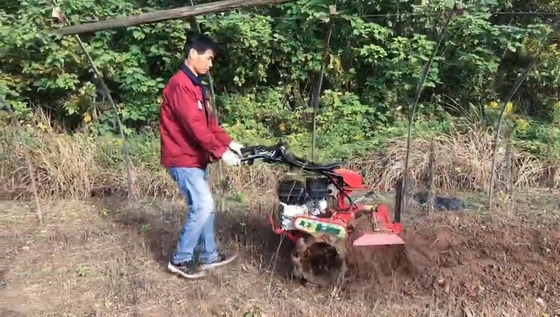177F Motor de gasolina con tracción a las cuatro ruedas Mini Power Tiller Cultivator para granja y jardín