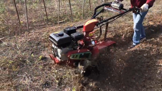 70cm de ancho de trabajo Compacto 177F Motor de gasolina con tracción a las cuatro ruedas Mini Tiller Cultivator
