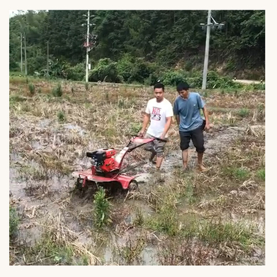Pequeña potencia último diseño de cuatro ruedas motrices Mini Power Tiller para el cultivo de la granja en casa