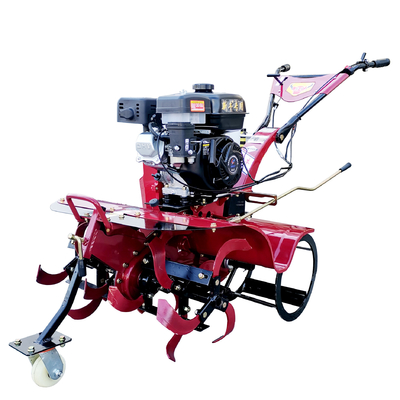 Tiller de huerto de 4 kW con tracción directa para tierras secas y campos de arroz