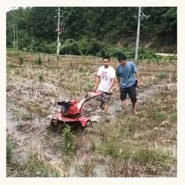 Mini Tiller de gasolina con remoción rotativa ligero y capacidad de carga de 65 kg