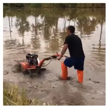 Mini Tiller de gasolina con remoción rotativa ligero y capacidad de carga de 65 kg