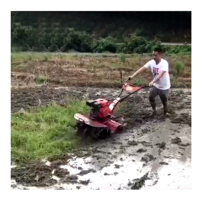 Tractor de 160*62*108cm y trituradora rotativa para sus necesidades agrícolas