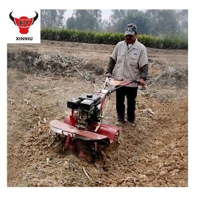 Nivel de seguridad de alta mano empuje modelo corto Mini Tiller rotativo para herramientas agrícolas