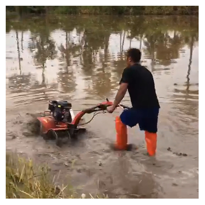 Motor de gasolina con tracción a cuatro ruedas 170F Mini Power Tiller Cultivator para granja y jardín