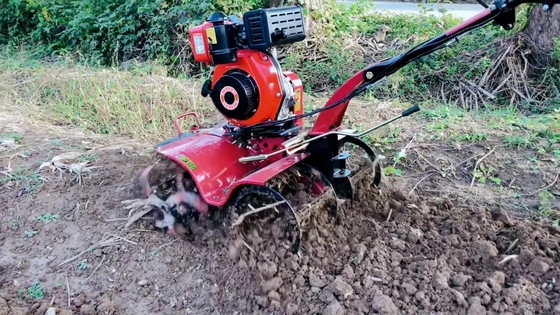 186F Motor diesel Mini cultivador de limpieza de energía para maquinaria agrícola