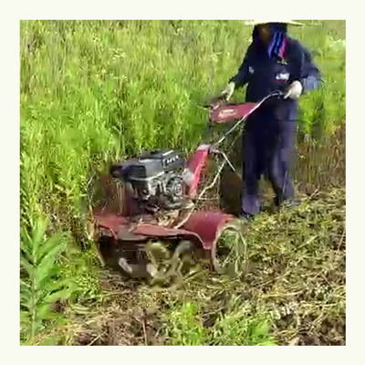 Durable 170F motor de gasolina con tracción en las cuatro ruedas cultivador de granja para campos de arroz y tierra seca 65 KG